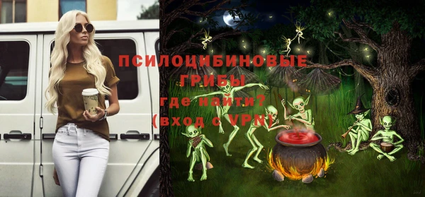 прущая мука Алзамай