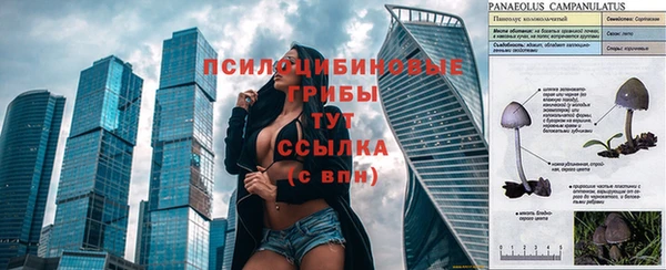 прущие крисы Армянск