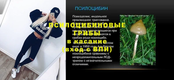 прущие крисы Армянск