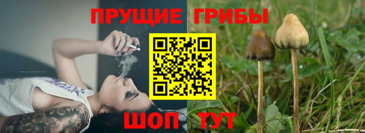 Балашиха  Псилоцибиновые грибы мухоморы  цена наркотик  Вход с VPN 