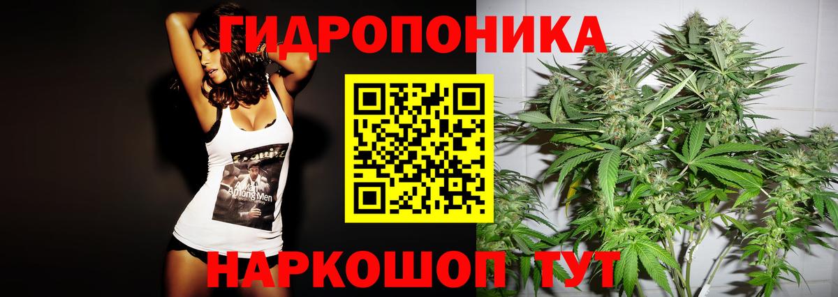 Балашиха  Шишки марихуана White Widow  Шишки марихуана планчик  Вход с VPN 